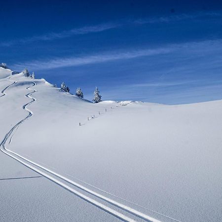 Berghotel Hahnenmoos อาเดลโบเดิน ภายนอก รูปภาพ