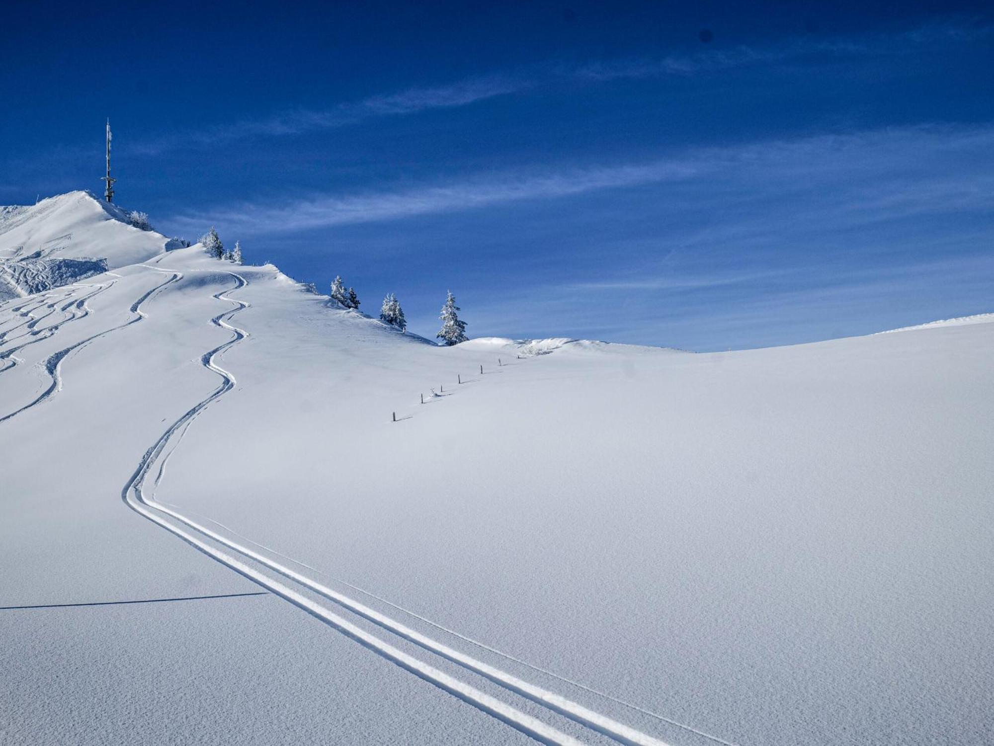 Berghotel Hahnenmoos อาเดลโบเดิน ภายนอก รูปภาพ