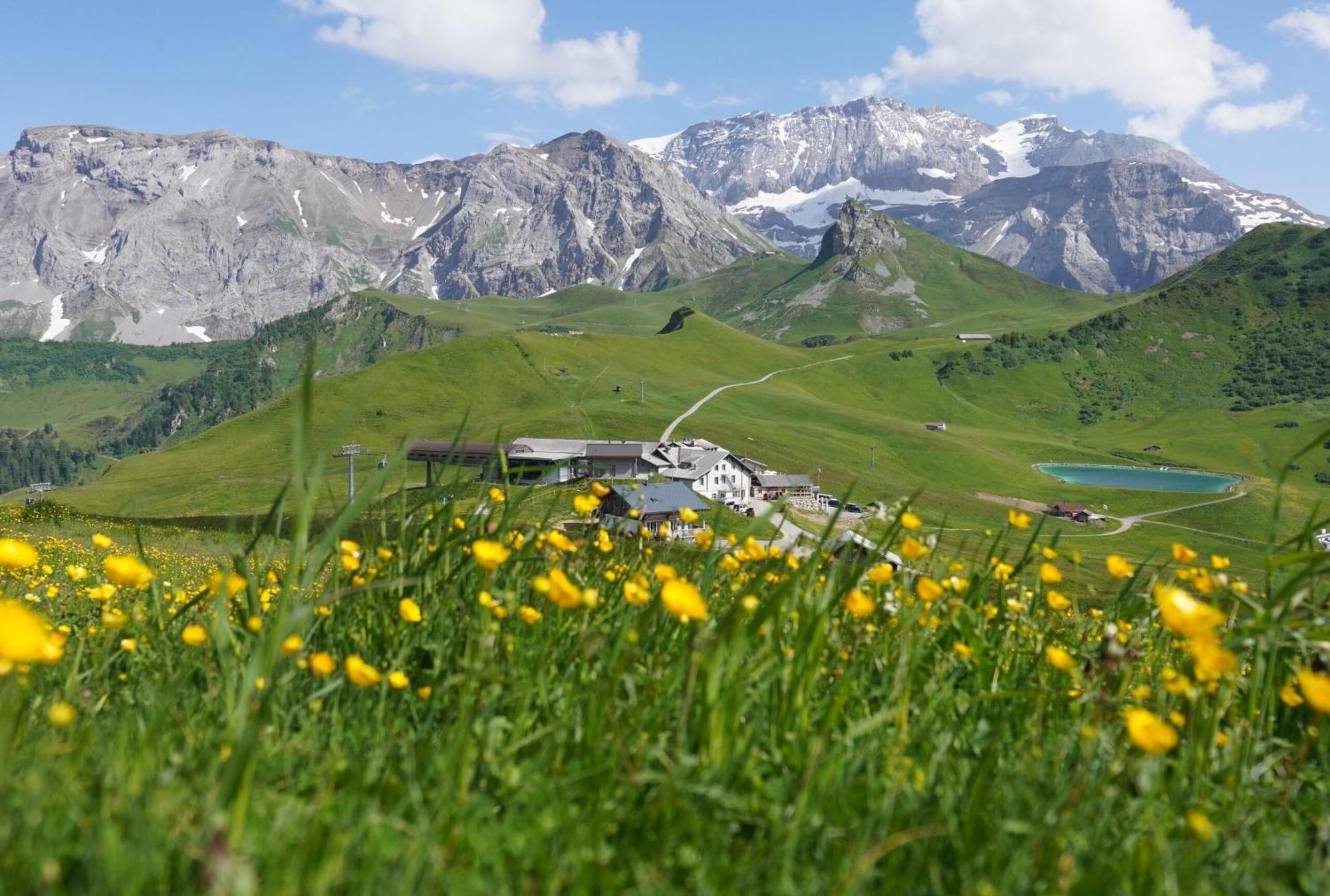 Berghotel Hahnenmoos อาเดลโบเดิน ภายนอก รูปภาพ